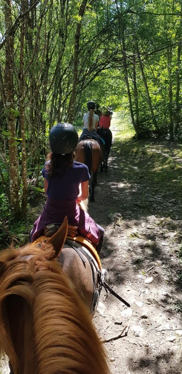 Enfants faisant une blade à cheval dans la forêt pendant un camp d'équitation à Château-d'Oex - Ecole d'équitation Jean Blatti